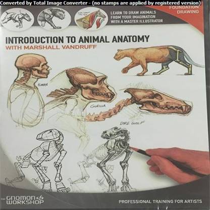 Introduction to Animal Anatomy: Buy Introduction to Animal Anatomy by  Vandruff Marshall at Low Price in India 