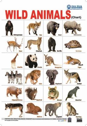Wild Animals Chart: Buy Wild Animals Chart by Nidhi Kundra at Low Price in  India 