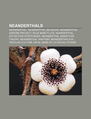 buy neanderthals by source wikipedia at