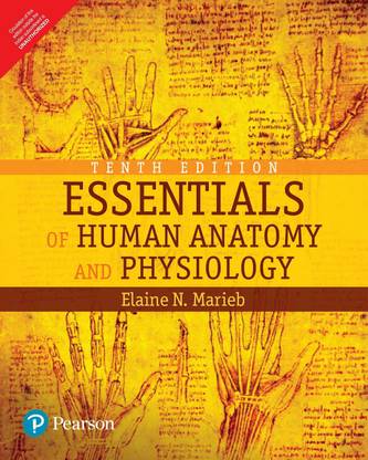 Human anatomy and physiology marieb 10th edition