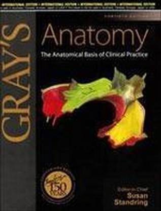 greys anatomy textbook