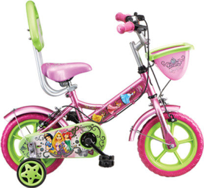 bsa disney princess cycle
