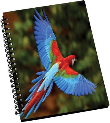 AMY Beauy Parrot Flying A5 Notebook Ruled 288 Pages Price in India ...