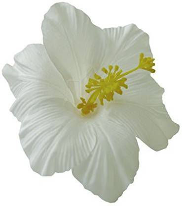 Generic Hawaiian Hibiscus Flower Hair Clip (White) Hair Clip Price in India - Buy Generic Hawaiian Hibiscus Flower Hair Clip (White) Hair Clip online at Generic Hawaiian Hibiscus Flower Hair Clip (White) Hair Clip Price in India - Buy Generic Hawaiian Hibiscus Flower Hair Clip (White) Hair Clip online at