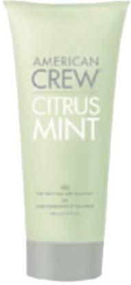 AMERICAN CREW Citrus Mint High Hold Styling Gel Hair Gel - Price in India,  Buy AMERICAN CREW Citrus Mint High Hold Styling Gel Hair Gel Online In  India, Reviews, Ratings & Features |