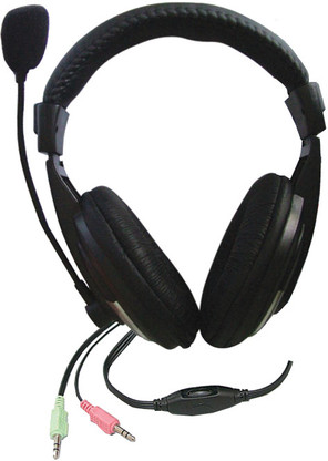 zebronics headphones with mic for pc