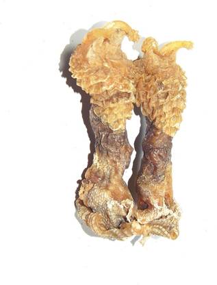 Ewejjpfhrj2gmm Hatha jodi is the root of tiger's claw (martynia annua), an. https www flipkart com takething natural hatha jodi hata pooja free jata shankar decorative showpiece 6 cm p itmetzze7nyyysjv