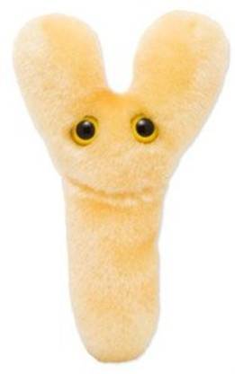 GIANT Microbes Bifidobacterium Longum Plush - 3.9 inch