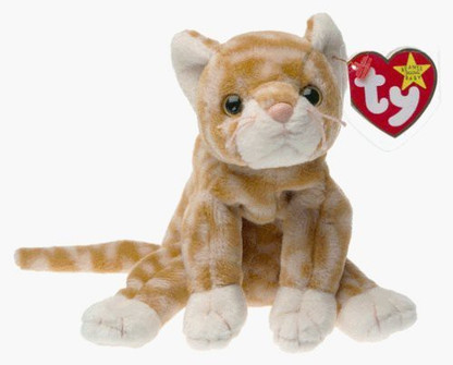 ty tabby cat
