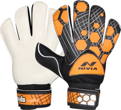 nivia raptor