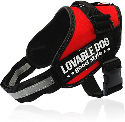 dog belt for labrador puppy