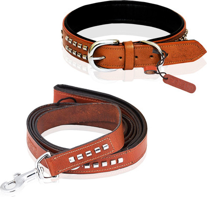 dog belt name