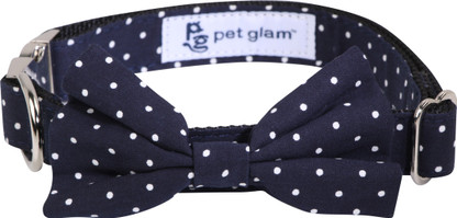 large dog collar with bow