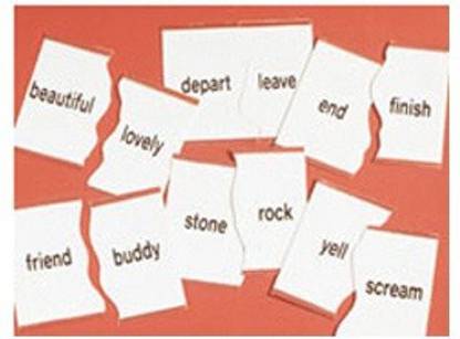 Didax Educational Resources Synonym Matching Puzzle Synonym Matching Puzzle Shop For Didax Educational Resources Products In India Flipkart Com