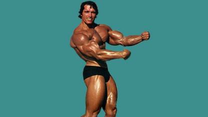 arnold schwarzenegger bodybuilding POSTER HD Wallpaper Background Fine Art  Paper ON 24X36 Photographic Paper - Art & Paintings posters in India - Buy  art, film, design, movie, music, nature and educational paintings/wallpapers