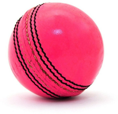 cricket leather ball