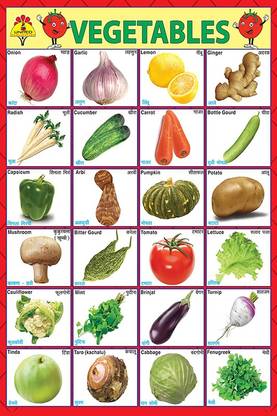 Poster Vegetables Name Poster Educational Poster Colorful Baby Room Poster Paper Print Decorative Posters In India Buy Art Film Design Movie Music Nature And Educational Paintings Wallpapers At Flipkart Com