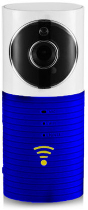 detect wireless camera
