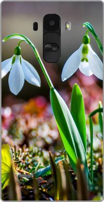 Exclusivebay Back Cover for LG G4 Stylus