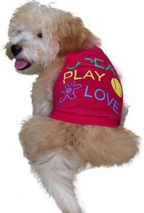 Doxters T-shirt for Dog Price in India
