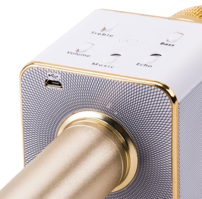 The Latest in 2019 Dual Sing Duet Version Wireless Karaoke Microphone 12w Hi-Fi Bluetooth Speaker Player for iPhone Android Smartphone 