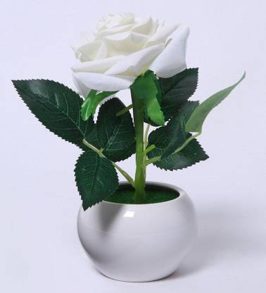 Fourwalls Artificial Velvet Rose In A Ceramic Vase 1 Cm X 1 Cm X 22 Cm White Bonsai Artificial Plant With Pot Price In India Buy Fourwalls Artificial Velvet Rose In Fourwalls Artificial Velvet Rose In A Ceramic Vase 1 Cm X 1 Cm X 22 Cm White Bonsai Artificial Plant With Pot Price In India Buy Fourwalls Artificial Velvet Rose In
