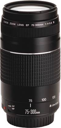 Canon Ef 75 300mm F 4 5 6 Iii Lens Canon Flipkart Com