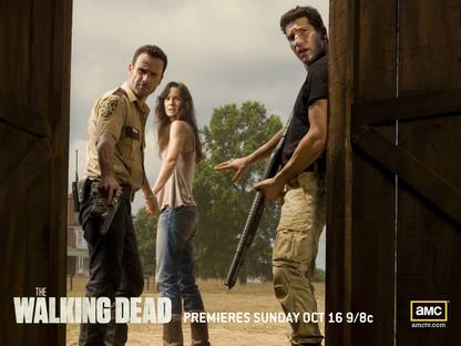 Aabhaas Tv Show The Walking Dead Dead Horror Walking Dead Sarah Wayne Callies Lori Grimes Andrew Lincoln Rick Grimes Shane Walsh Joh Bernthal Hd Wall Poster Paper Print Tv Series Posters