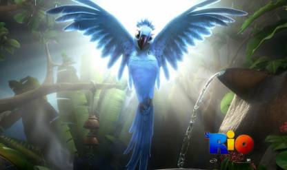 Belucky Rio Movie Jewel Wall Poster Paper Print Movies Posters In India Buy Art Film Design Movie Music Nature And Educational Paintings Wallpapers At Flipkart Com