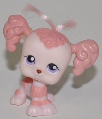 lps poodle