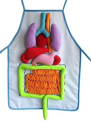 Details about   3D Anatomy Apron Learn Human Body Organs Apron Educational Awareness Toy 