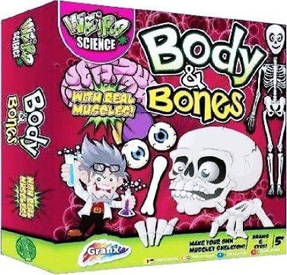 Weird Science Body And Bones Build A Human Skeleton Mould Intestinal Organs 