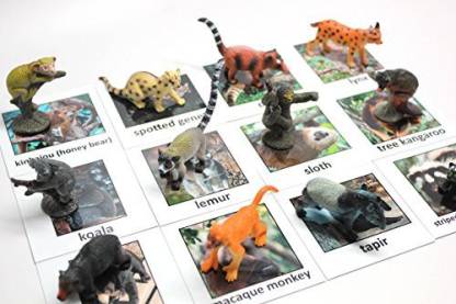 Generic Montessori Rainforest Animal Match - Miniature Rain Forest Animals  With Matching Cards - 2 Part Cards. Montessori Learning Toy, Price in India  - Buy Generic Montessori Rainforest Animal Match - Miniature