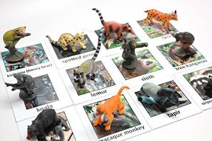 Generic Montessori Rainforest Animal Match - Miniature Rain Forest Animals With Matching Cards - 2 Part Cards. Montessori Learning Toy, Price in India - Buy Generic Montessori Rainforest Animal Match - Miniature Generic Montessori Rainforest Animal Match - Miniature Rain Forest Animals With Matching Cards - 2 Part Cards. Montessori Learning Toy, Price in India - Buy Generic Montessori Rainforest Animal Match - Miniature