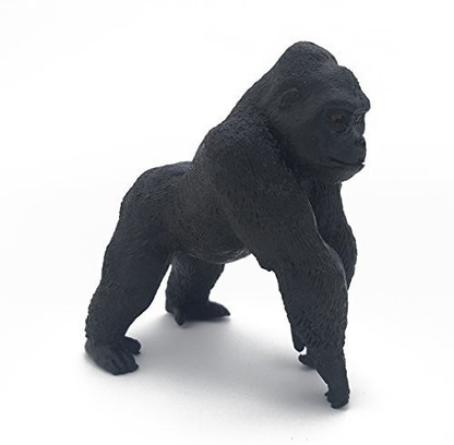 royal canin persian 30