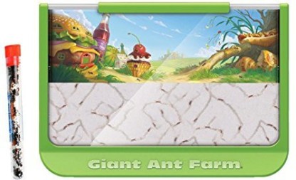 Farm by Uncle Milton 1 Tube of Ants Shipped with 25 Live Ants Now Nature Gift Store Live Giant Ant Farm 4X Larger 
