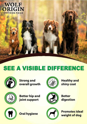 Wolf origin dog food clearance