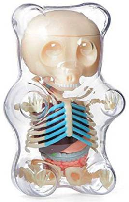D Master 4D Vision Animal Anatomy - Gummi Bear Skeleton Anatomy Model Kit,  Clear Price in India - Buy D Master 4D Vision Animal Anatomy - Gummi Bear Skeleton  Anatomy Model Kit,