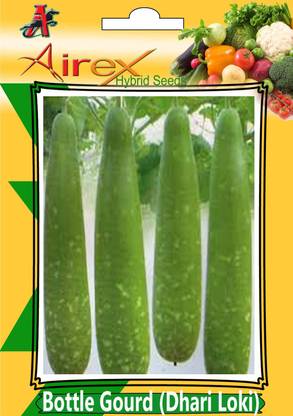 Airex Bottle Gourd Dhari Loki Hybrid Vegetables Seed Pack Of 15 Seed Per Packet Seed Price In India Buy Airex Bottle Gourd Dhari Loki Hybrid Vegetables Seed Pack Of 15 Seed Airex Bottle Gourd Dhari Loki Hybrid Vegetables Seed Pack Of 15 Seed Per Packet Seed Price In India Buy Airex Bottle Gourd Dhari Loki Hybrid Vegetables Seed Pack Of 15 Seed