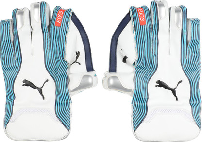 puma evo 3 wicket keeping gloves