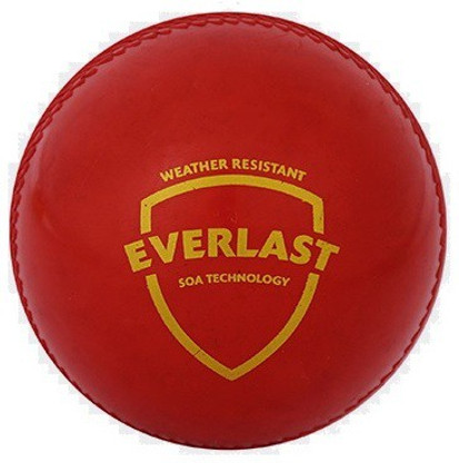 Sg everlast synthetic cricket ball