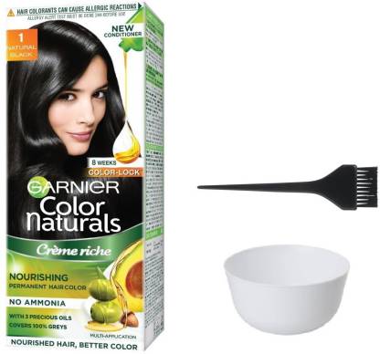 GARNIER Color Naturals Hair Color (Natural Black No. 1) + 1 Mixing Bowl + 1  Dyeing Brush Price in India - Buy GARNIER Color Naturals Hair Color  (Natural Black No. 1) +