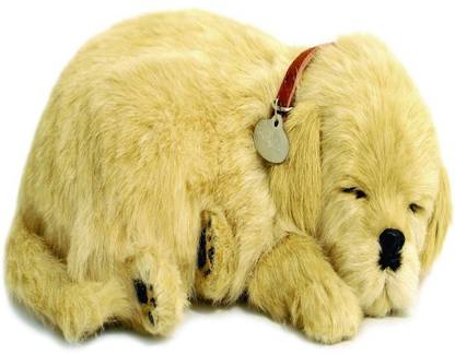 Perfect Petzzz Golden Retriever Plush 5 2 Inch Golden Retriever Plush Buy Pet Toys In India Shop For Perfect Petzzz Products In India Flipkart Com