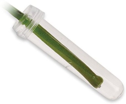 Floral Water Tubes/Vials For Flower Arrangements by Royal Imports 1/2 Opening 100/Pack Clear w/Caps - Standard 3 