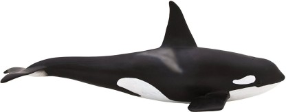 Mojo Fun 387114 Male Orca Realistic Sea Life Marine Toy Replica for sale online 
