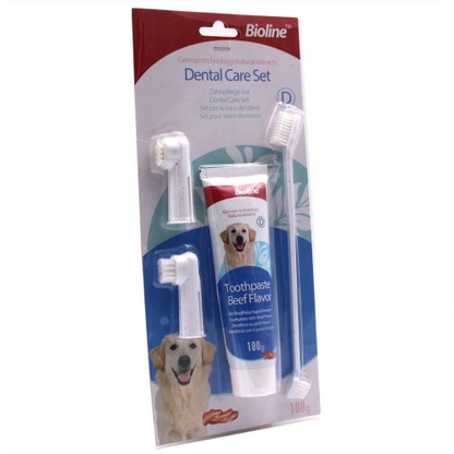dog brush and toothpaste