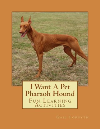 pharaoh hound price