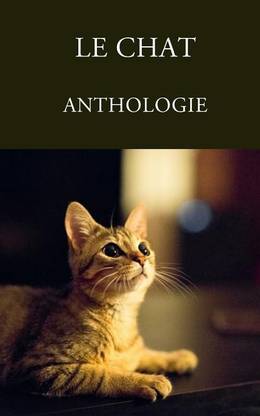 Le Chat Buy Le Chat By Anthologie At Low Price In India Flipkart Com
