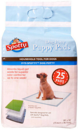 spotty dog potty