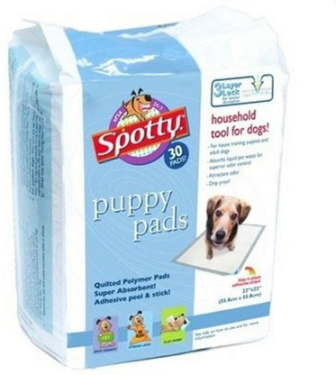 spotty dog potty